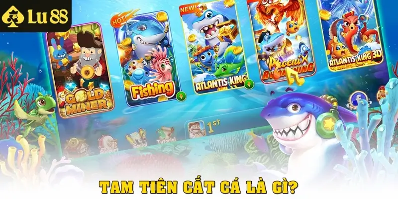 Tam tiên cắt cá là gì? 